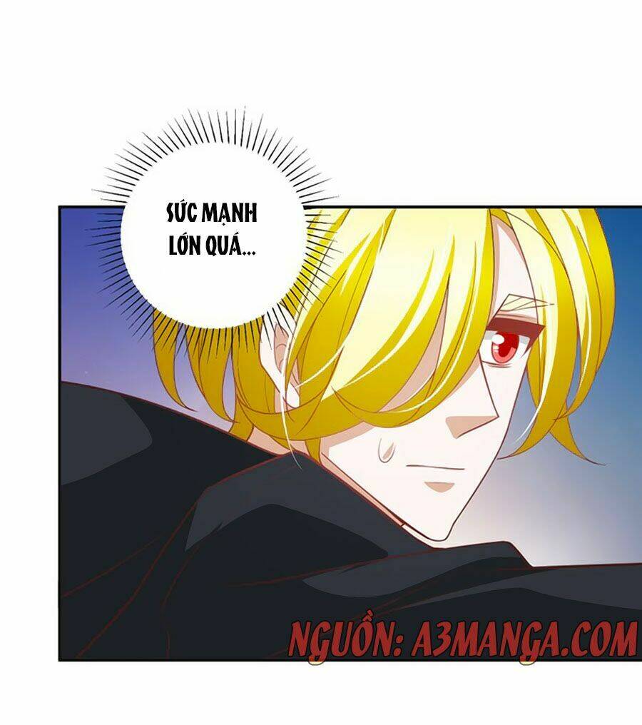 người yêu khát máu của tôi chapter 42 38