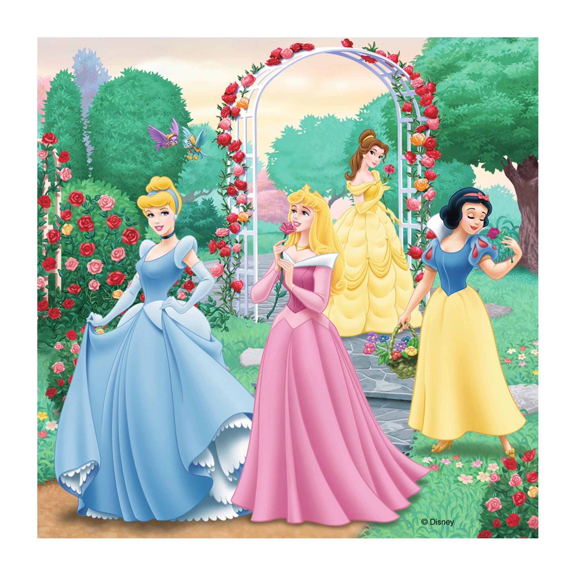 Bộ xếp hình puzzle Ravensburger Princess dreams 3 bộ 49 mảnh RV09411 0 