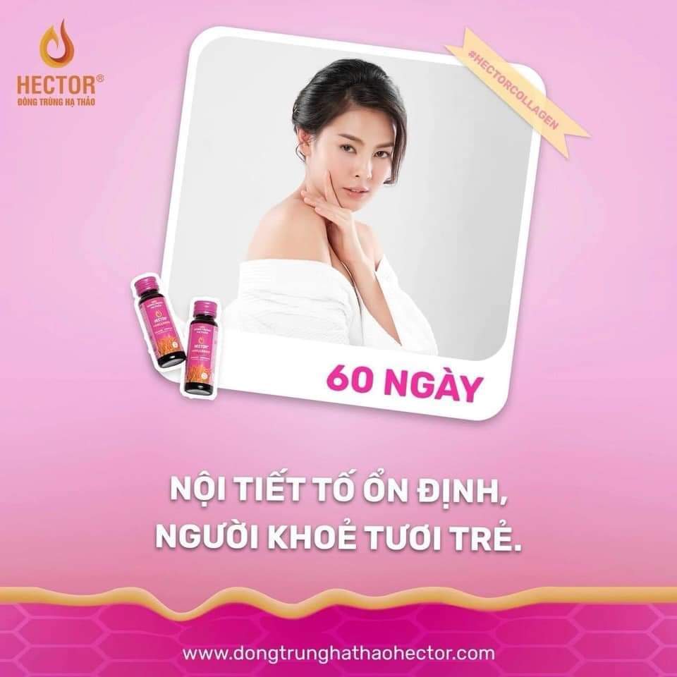 Combo 6 Hộp (60 Chai) Nước Đông Trùng Hạ Thảo Hector Collagen (Tiết kiệm 180k)