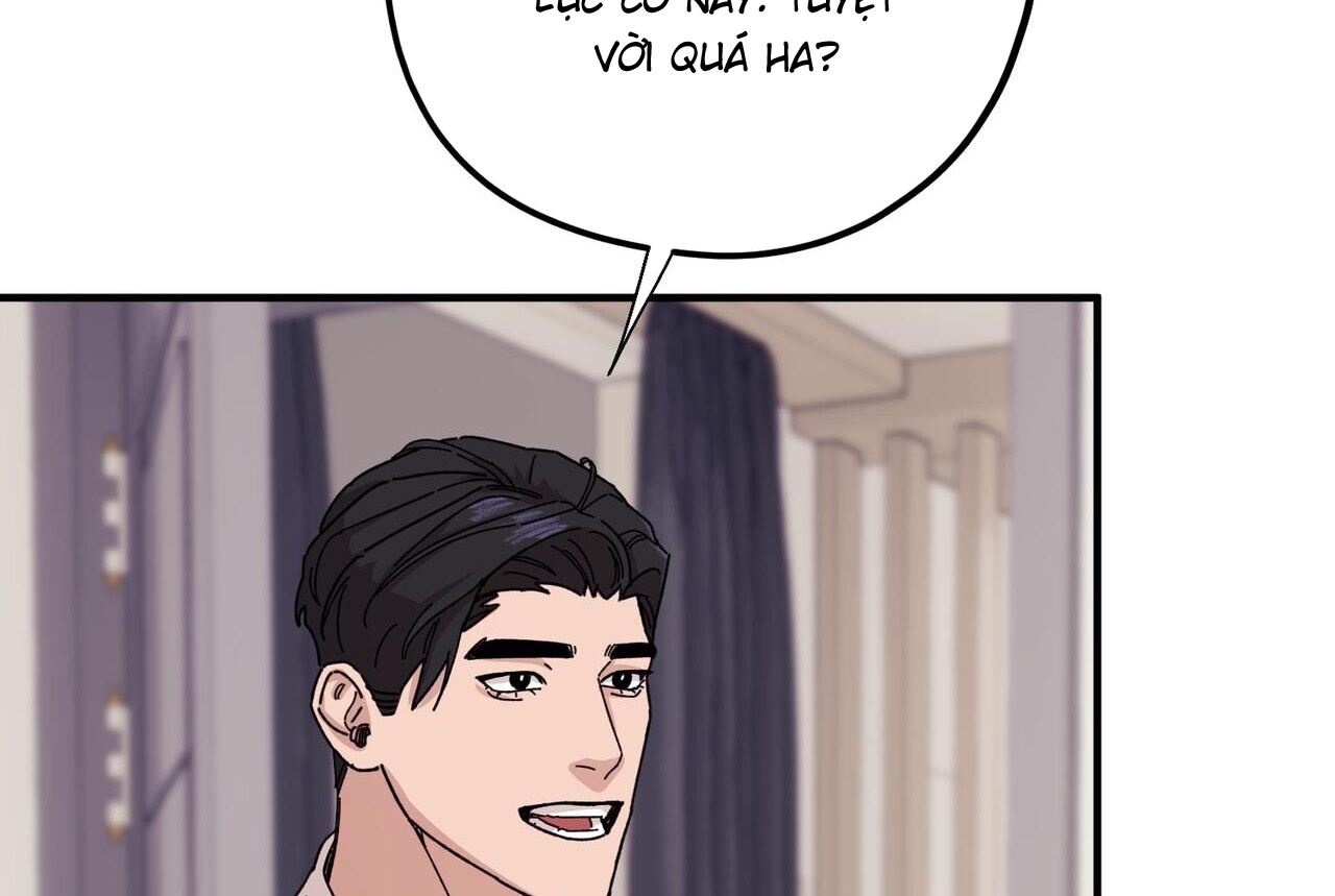 chàng dâu nhà họ kang chapter 43 54