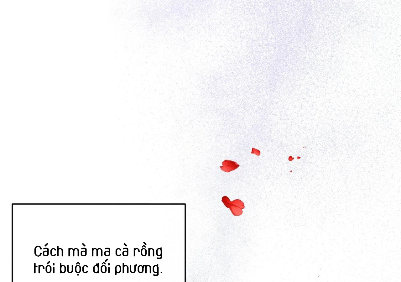 luân đôn trong màn đêm chapter 11 5