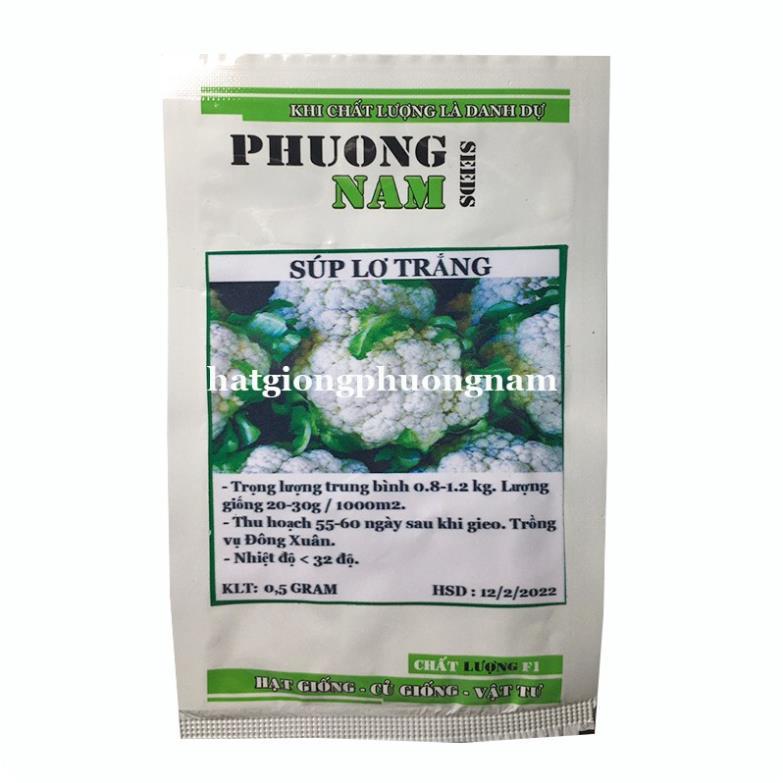 0,5GR - HẠT GIỐNG SÚP LƠ TRẮNG