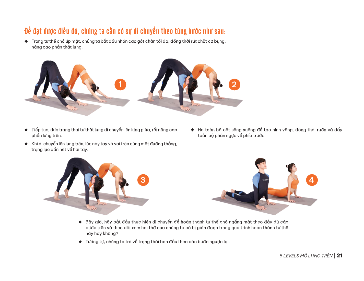 Sách - 5 Levels Mở Lưng Trên