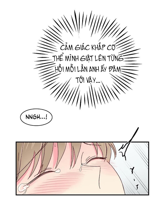 món tráng miệng của ngài giám đốc chapter 14 19