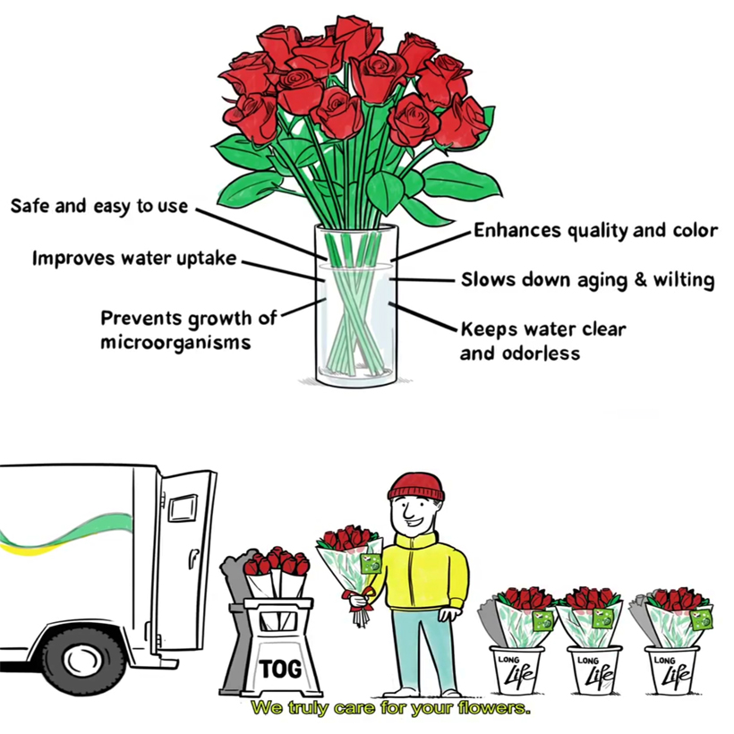 NƯỚC CẮM HOA HỒNG LÂU TÀN nhập khẩu ISAREL dành cho Nhà Vườn Trồng Hoa Grower bảo quản hoa