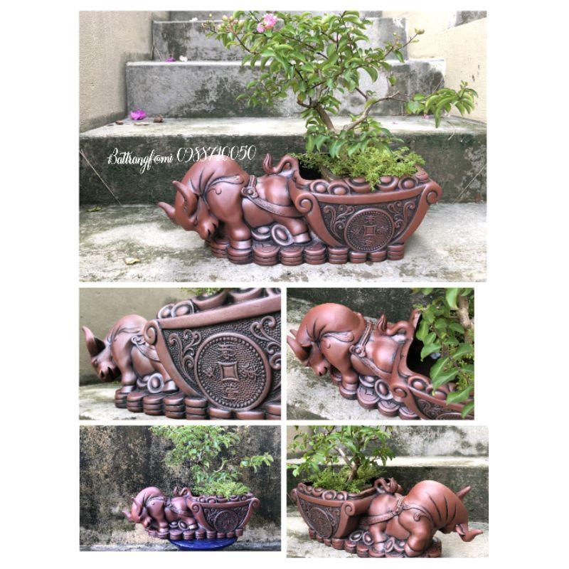 Trâu Vàng Đại Cát, Chiêu Tài Tụ Bảo