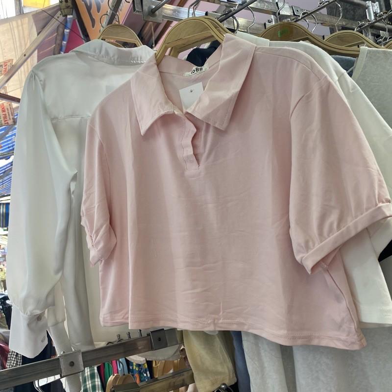 Áo polo croptop trơn basic- hàng Quảng Châu