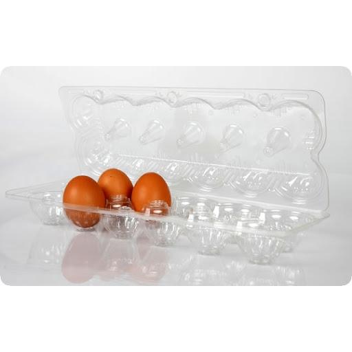 10 khay nhựa đựng 10 quả trứng có nút gài
