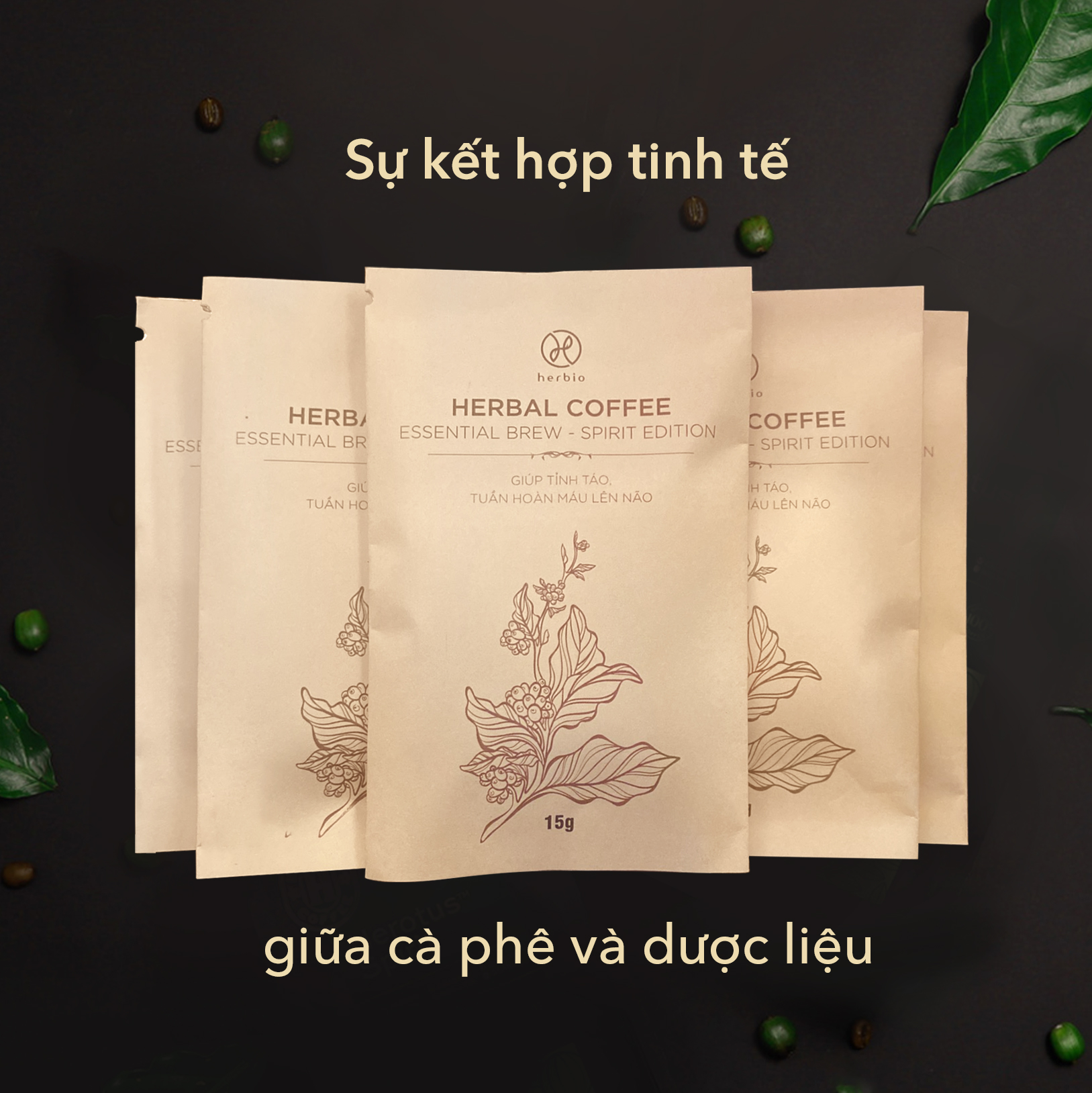 Cà phê nguyên chất rang mộc Herbal Coffee Herbio - kết hợp 5 loại thảo dược giúp tỉnh táo, tuần hoàn máu não - Hộp 15 phin túi lọc x 15gr