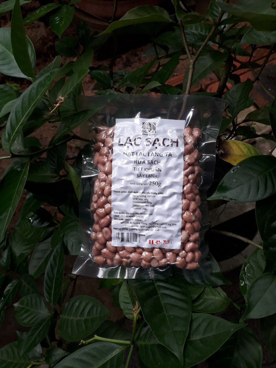 LẠC NHÂN SẠCH KHANG HY 250G