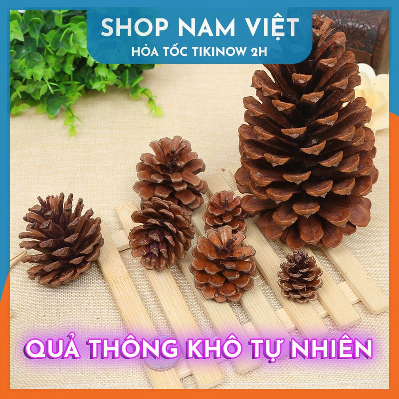 Set 5 Quả Thông Khô Đà Lạt Tự Nhiên Trang Trí Giáng Sinh