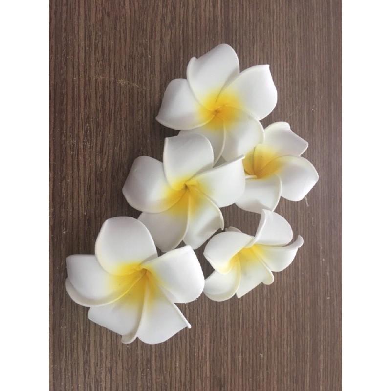 Combo 1 cặp mút độn đồ bơi + 1 kẹp hoa sứ