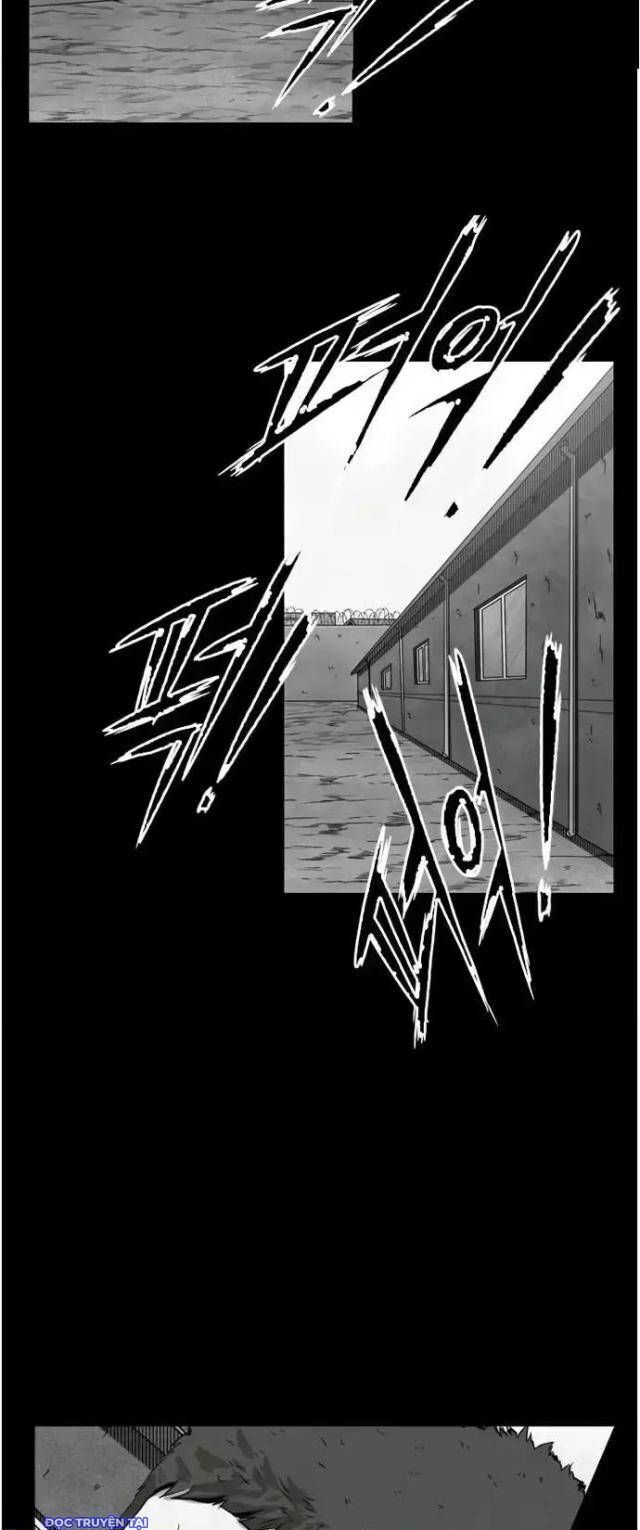 shark - cá mập chapter 109 27