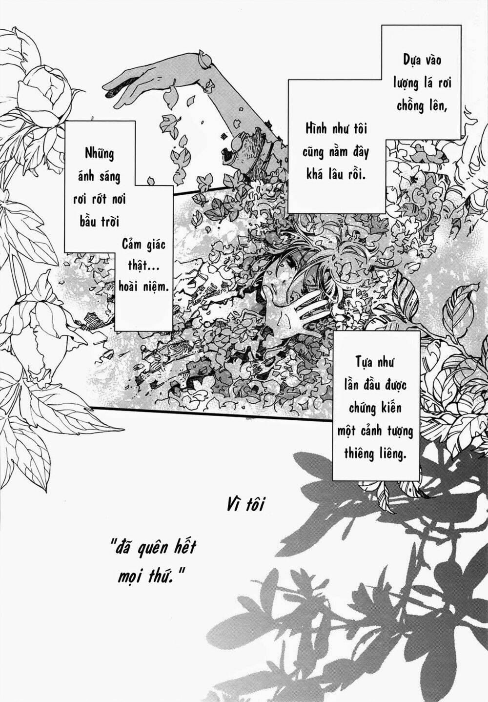 viên đá của nirvana chapter 1 3