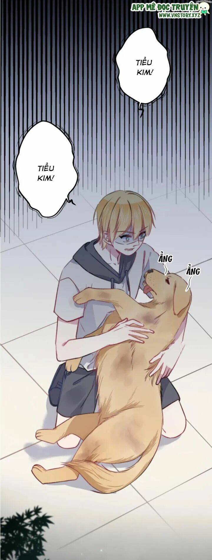 huyết quỷ luyến nhân chapter 19 19