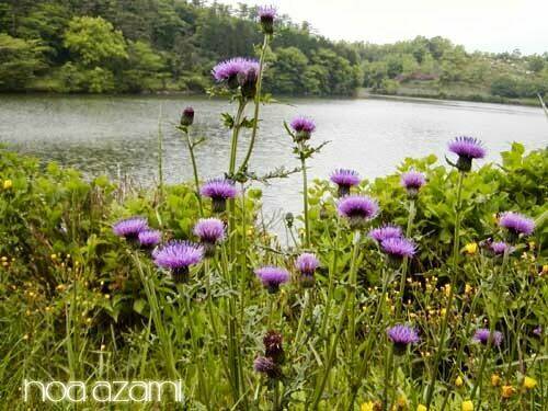 lone wolf and cub chapter 82 61