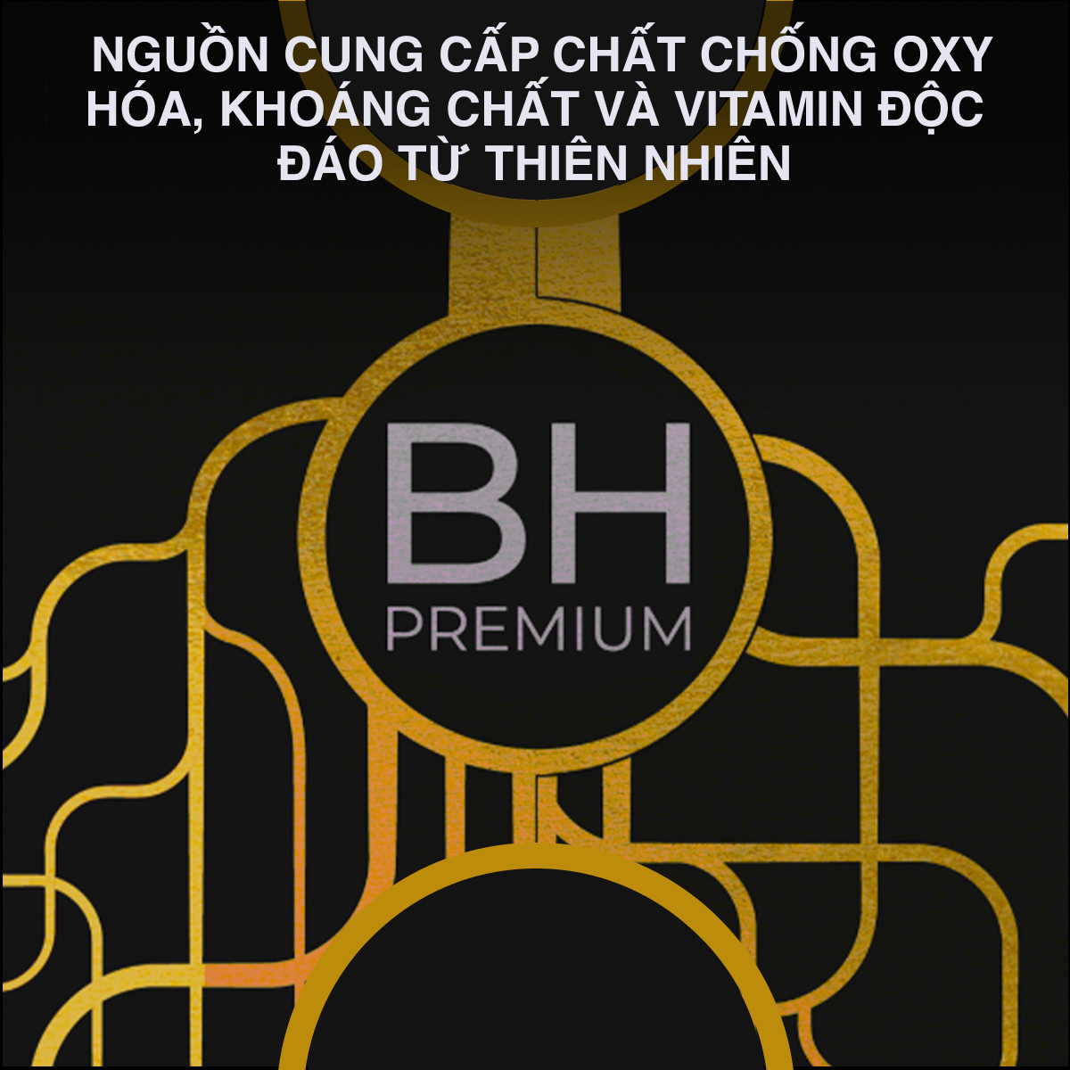 Bột Nhân Sâm Thượng Hạng BH Premium Với Bạch Sâm Hoàng Đế COFFEECELL - Dinh Dưỡng Thần Kinh, Năng Lượng & Sức Mạnh - Hàng Chính Hãng