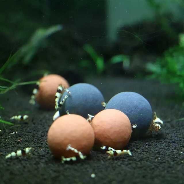 Khoáng Viên BEEBALL dành cho tép cảnh -Khoáng tép