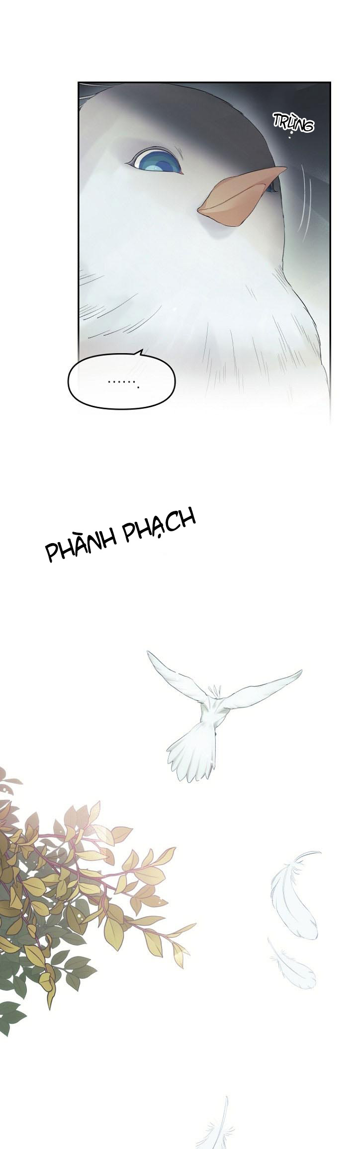 xin đừng trao tấm lòng vào cuốn sách ấy chapter 4 40