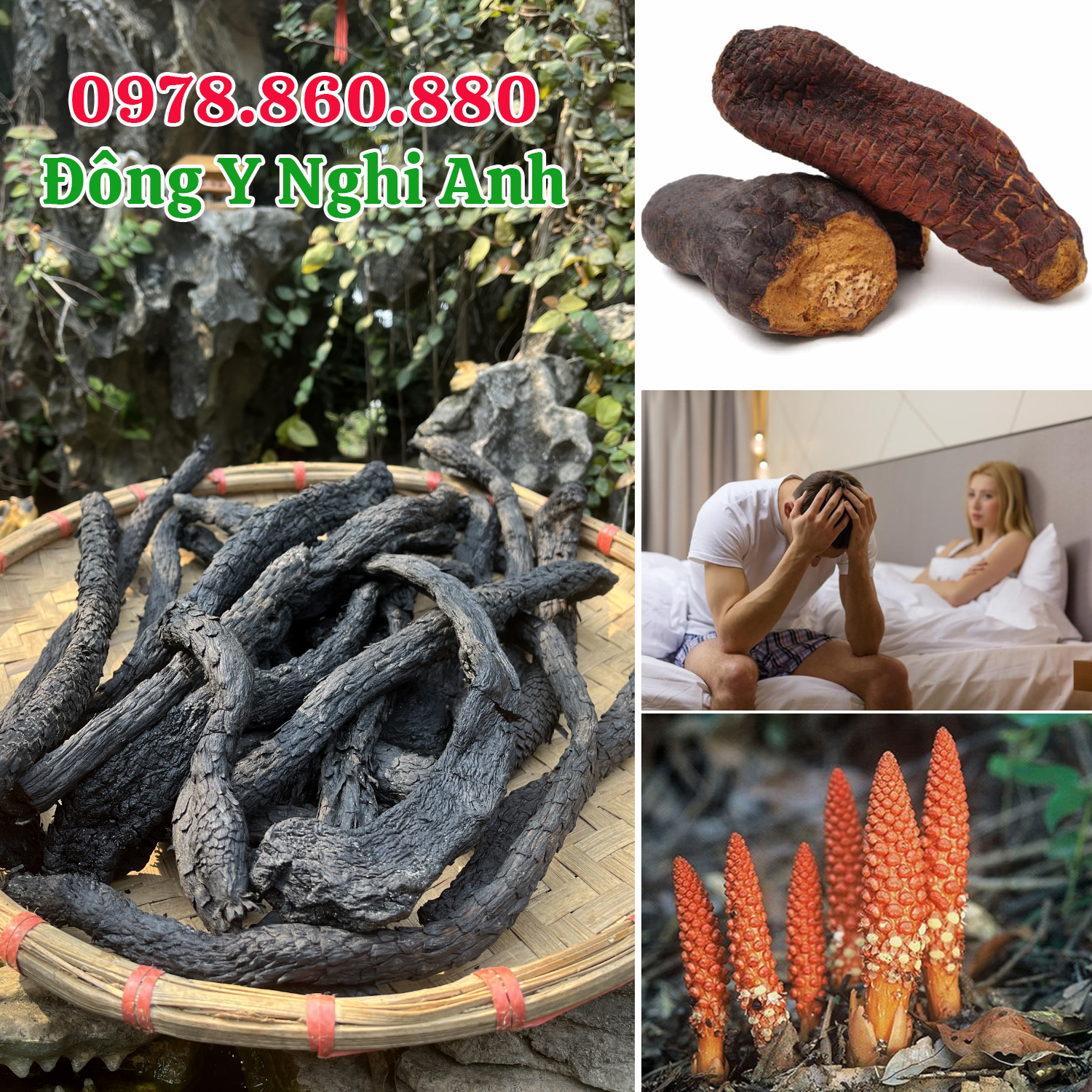 Nhục thung dung sấy dẻo Đông Y Nghi Anh hộp 200gr hàng nguyên chất loại 1