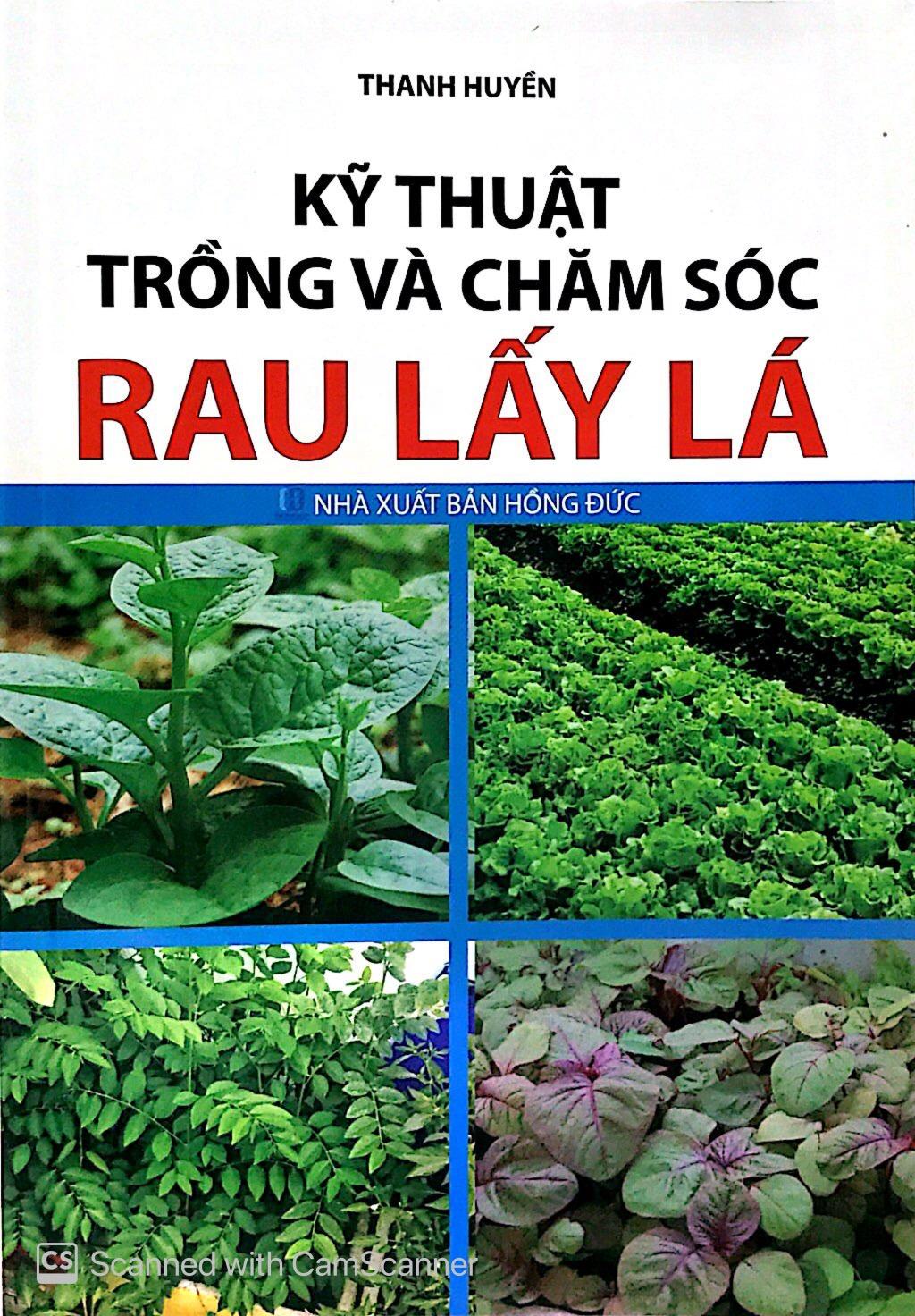 Kỹ Thuật Trồng Và Chăm Sóc Rau Lấy Lá