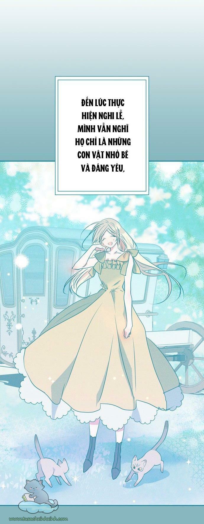 tôi đang nuôi dưỡng một con quái thú chapter 64 42