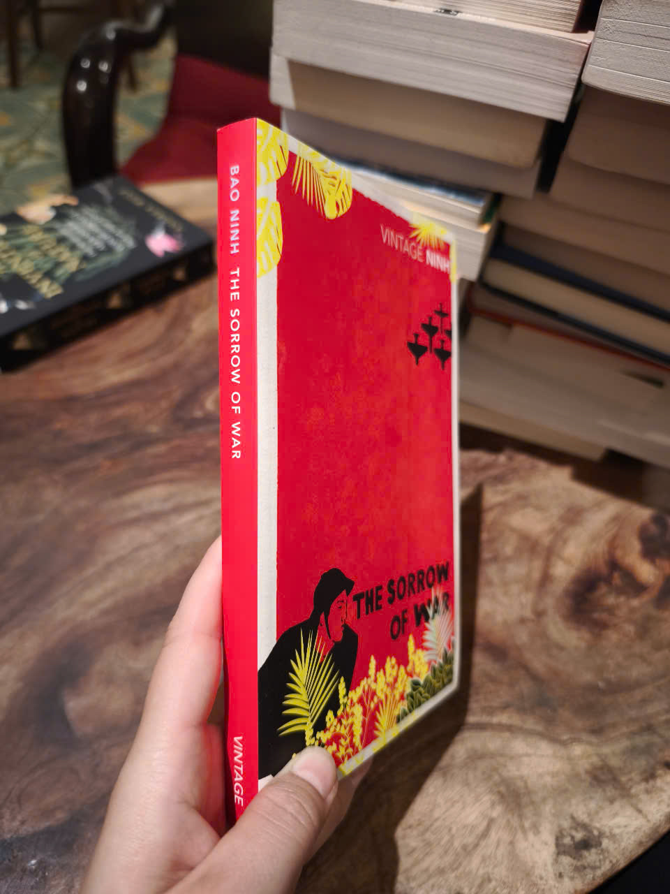 Sách - The Sorrow of War by Bảo Ninh - Fiction / War / Historical Fiction in English