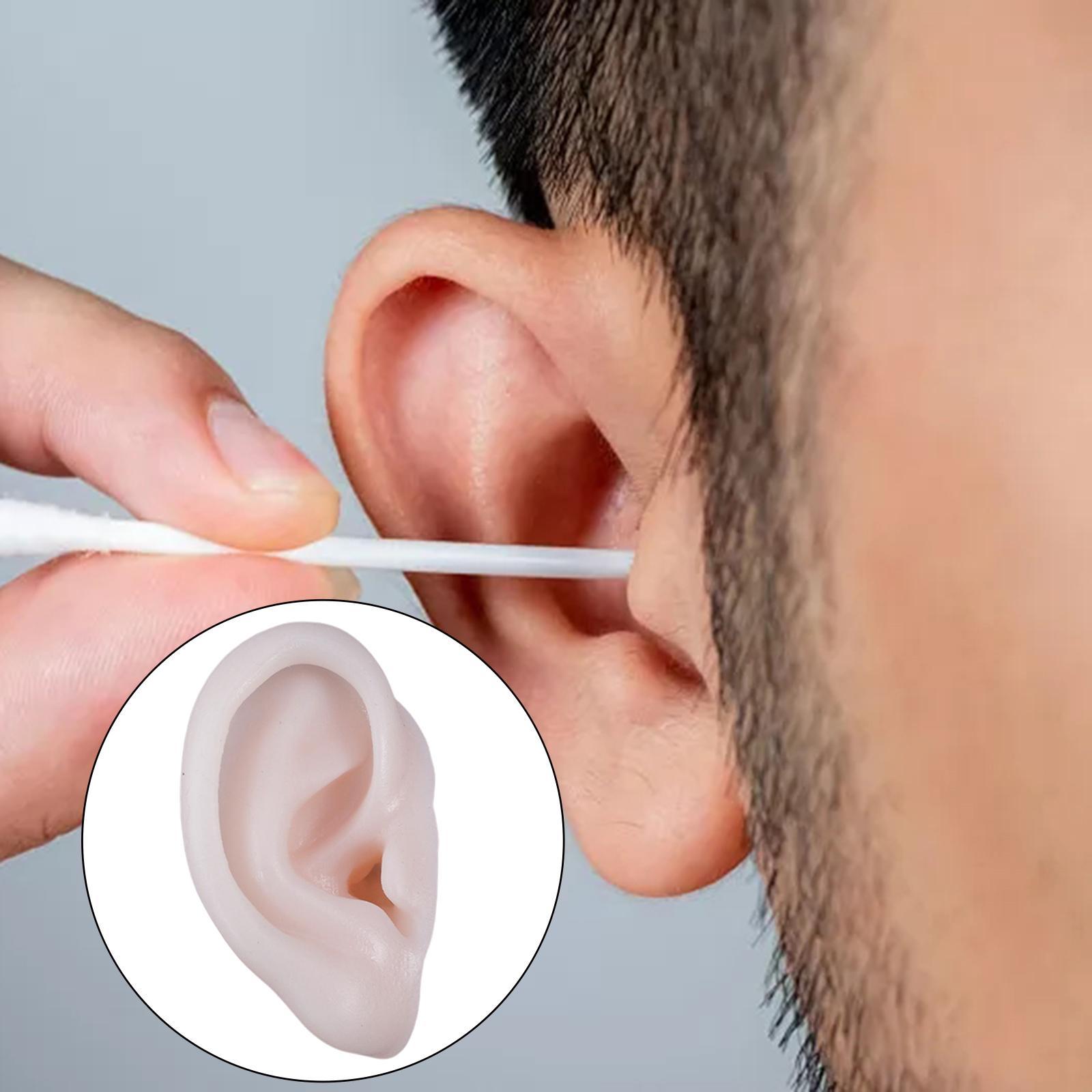 Ear Model, Soft Silicone, Props Teaching Tools Acupuncture Practice Model for Educational