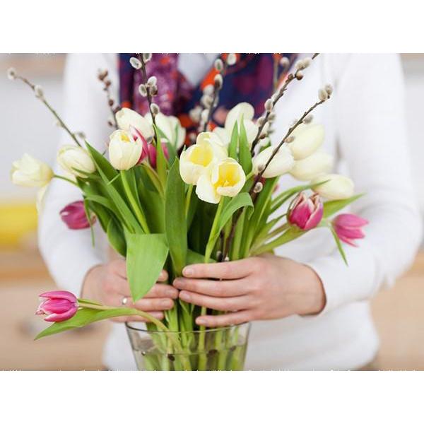 Chrystal Chất dưỡng hoa cắm bình nhanh nở lâu tàn