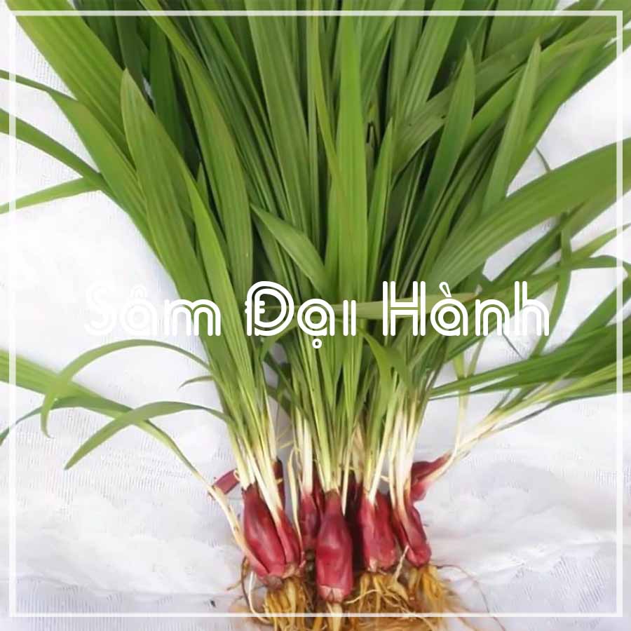 1kg Sâm Đại Hành khô sạch
