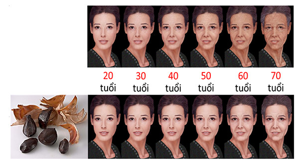toi den dong a toi kim cuong