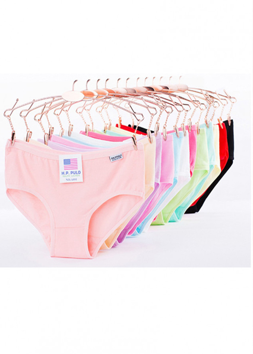 Combo 10 quần lót nữ xuất Mỹ H.P.PULO