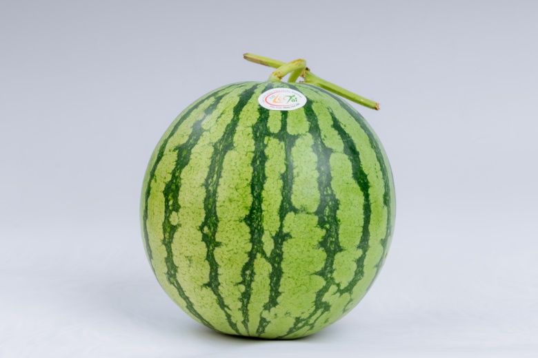 - Dưa hấu ruột đỏ không hạt