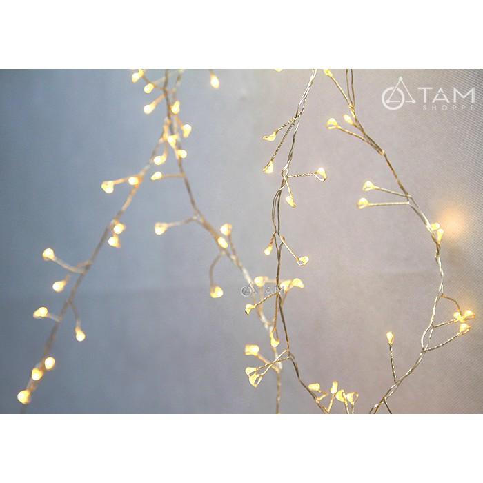 Dây đèn Led đom đóm có nhánh màu vàng ấm điện trực tiếp L-FAIRY-02