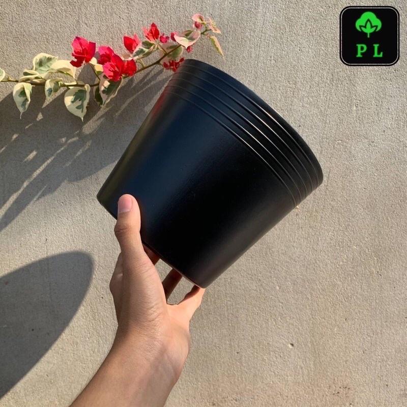 Compo 50 chậu nhựa C6 giá sỉ