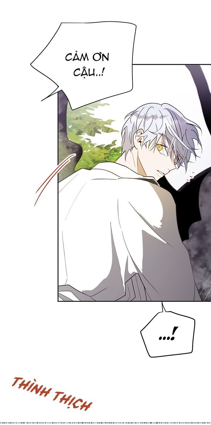 cách để cứu rỗi anh trai của nữ chính chapter 15 63