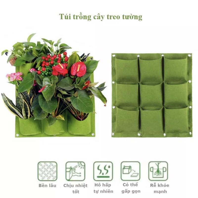 TÚI TRỒNG CÂY TREO TƯỜNG 9 HỐC - SIÊU TIỆN LỢI