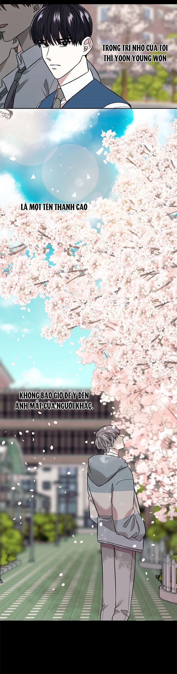 ám ảnh pheromone chapter 11 3