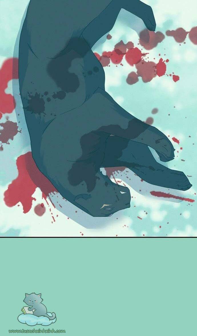 tôi đang nuôi dưỡng một con quái thú chapter 72 71