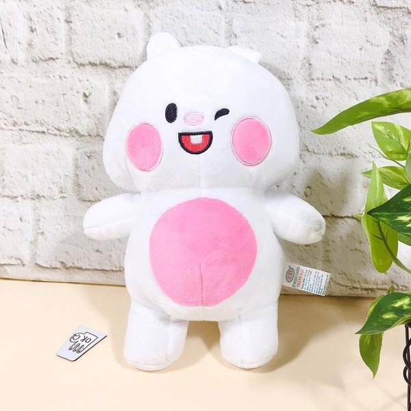 GẤU BÔNG TONTON FRIENDS (30 CM)