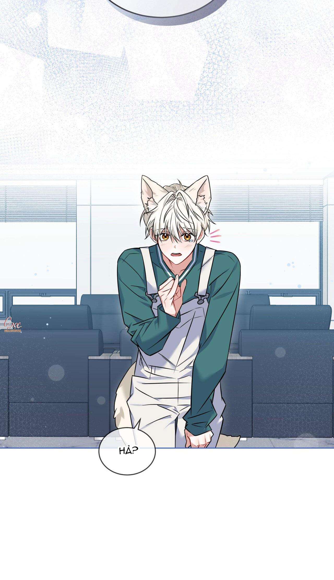 nước uống tình yêu của cáo plin chapter 3 70