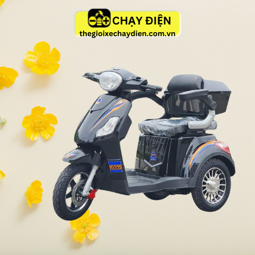 XE MÁY ĐIỆN 3 BÁNH CÓ CỐP SAU
