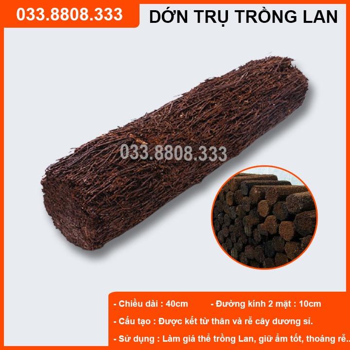 DỚN TRỤ CHUYÊN DÙNG GHÉP LAN - ĐÃ QUA XỬ LÝ