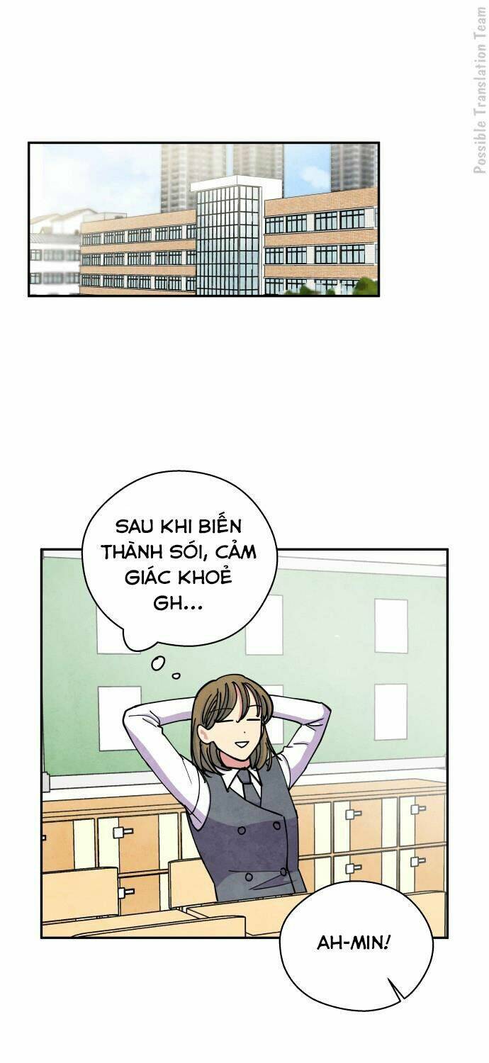 tai sói và mũ đỏ chapter 39 3