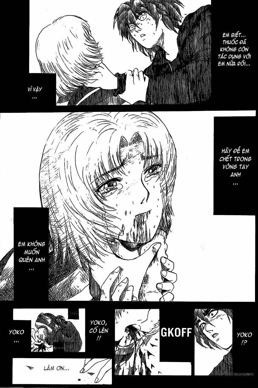 shonan junai gumi chapter 204 16