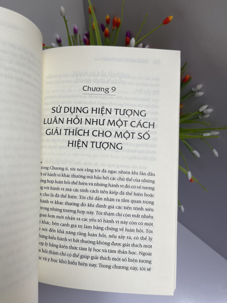 NHỮNG ĐỨA TRẺ NHỚ ĐƯỢC TIỀN KIẾP - Ian Stevenson – Lâm Đặng Cam Thảo dịch - First News – bìa mềm
