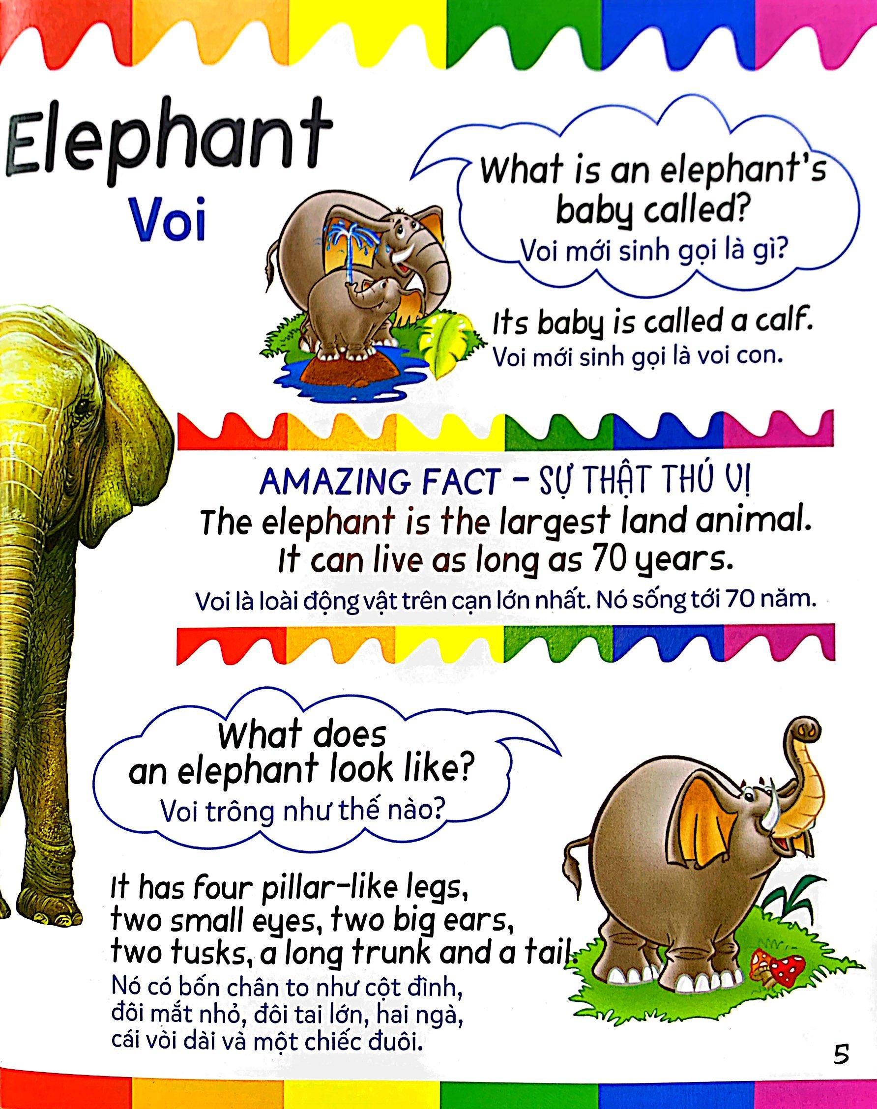 Mẹ Hỏi Bé Trả Lời - Song Ngữ Anh-Việt - Wild Animals - Động Vật Hoang Dã (Dành Cho Trẻ Từ 2-7 Tuổi)