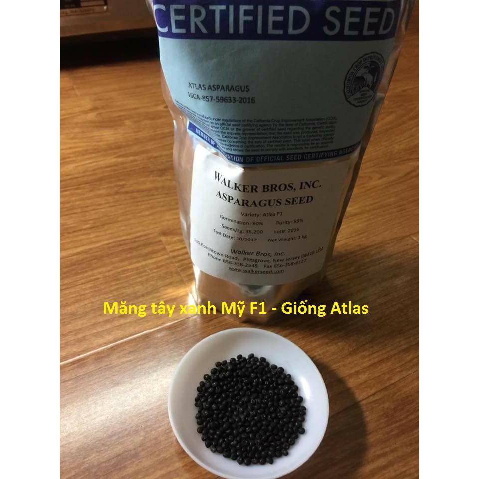 Hạt Giống Măng Tây Xanh F1 - 100 hạt