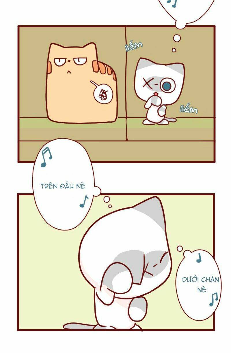 saphie: chú mèo một mắt chapter 18 9