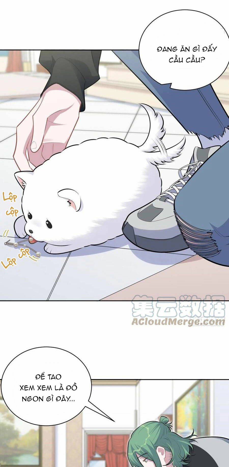 nhạc phụ đại nhân là lão bà chapter 168 26